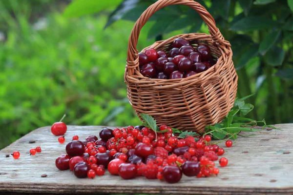 Что такое кракен плейс